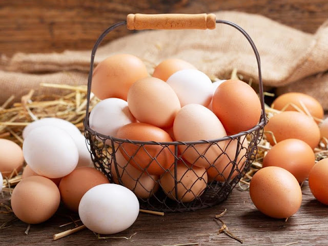 لماذا يعتبر البيض كنز لا يقدر بثمن